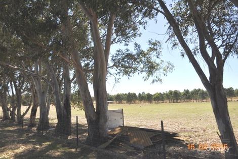 Lot 66 Pinkstone Ave, Cootamundra, NSW 2590