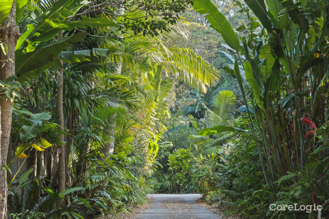 Property photo of 55 Lilli Pilli Drive Byron Bay NSW 2481