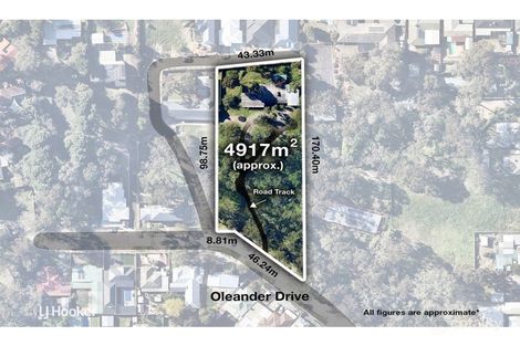 Property photo of 19 Oleander Drive Banksia Park SA 5091