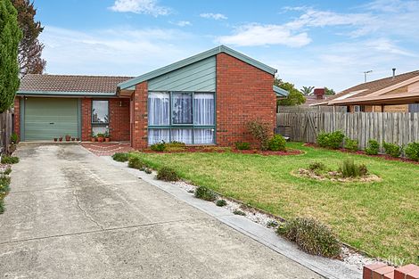 Property photo of 5 Carla Court Aspendale Gardens VIC 3195