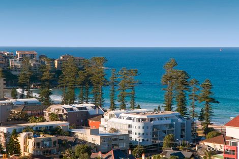 Property photo of 23/41 Kangaroo Street Manly NSW 2095