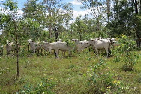 43784 Bruce Hwy, Colosseum, QLD 4677