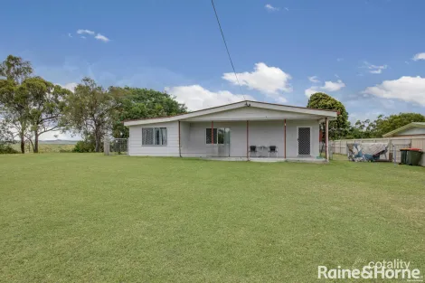 Property photo of 14 Balfour Street Mount Larcom QLD 4695