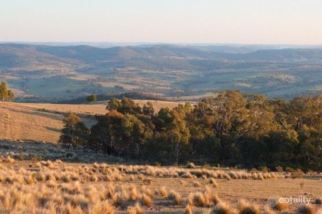 Molybdonite Rd, Locksley, NSW 2795
