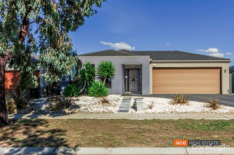 Property photo of 24 Carbine Avenue Tarneit VIC 3029