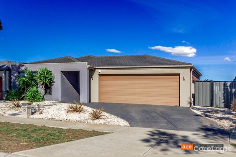 Property photo of 24 Carbine Avenue Tarneit VIC 3029