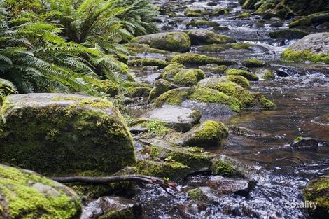 1400 Old Beech Forest Rd, Beech Forest, VIC 3237