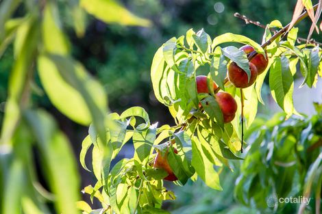 Property photo of 8/18-20 Audrey Street Ascot Park SA 5043