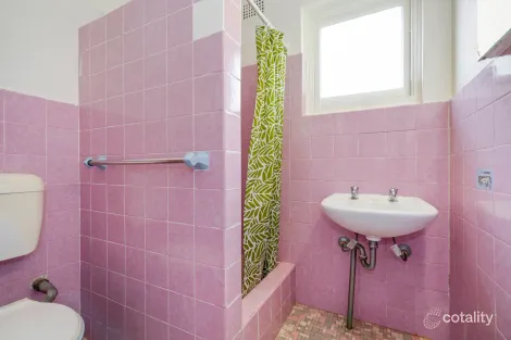 Property photo of 48 Park Avenue Ashfield NSW 2131