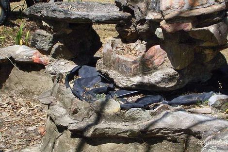 Property photo of 570 Beerburrum Road Elimbah QLD 4516