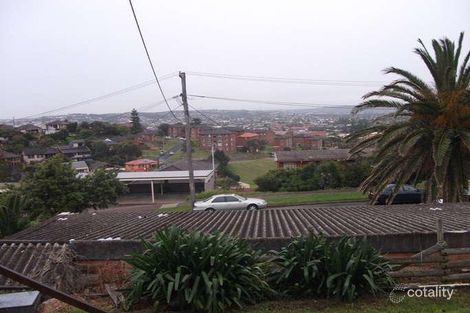 45 Nesca Pde, The Hill, NSW 2300