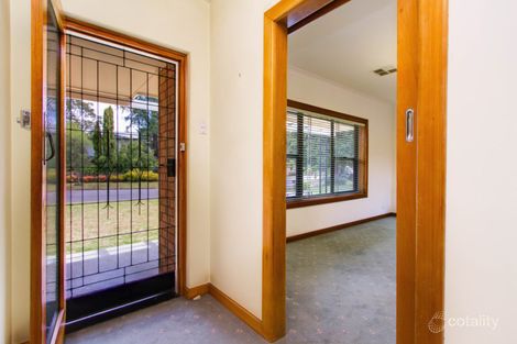 Property photo of 5 Bosville Grove Campbelltown SA 5074