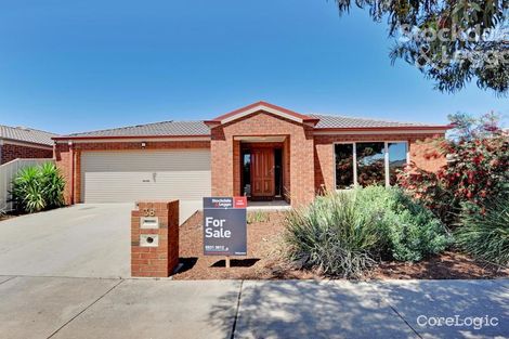 Property photo of 38 Taig Avenue Kialla VIC 3631