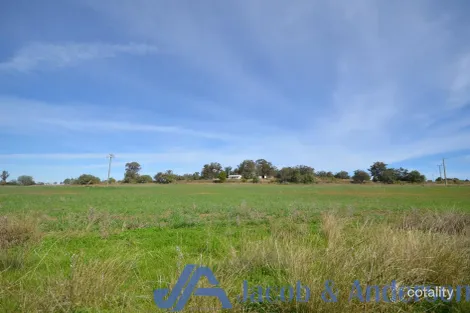 731 Caloola Rd, Boggabri, NSW 2382