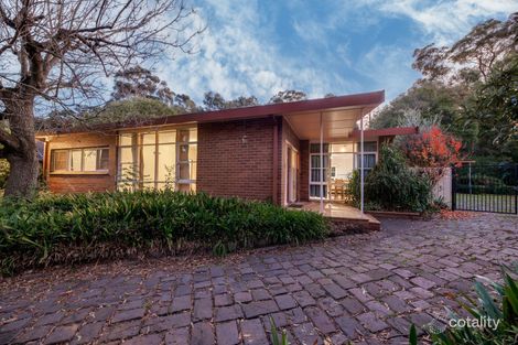 Property photo of 5 Windouran Drive Mitcham VIC 3132