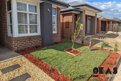 14 Sorbus St, Tarneit, VIC 3029