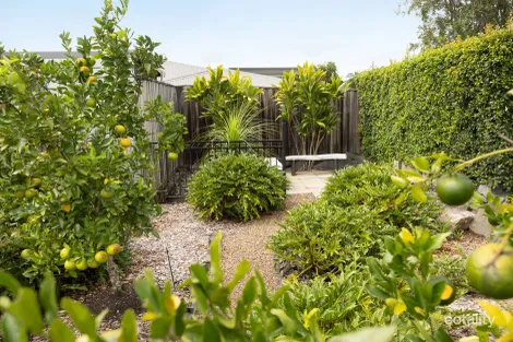 Property photo of 4 Arthur Court Cooroy QLD 4563