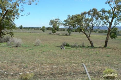 Property photo of 141 Allan Cunningham Road Scone NSW 2337