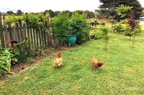 Property photo of 11 Main Street Strathbogie VIC 3666