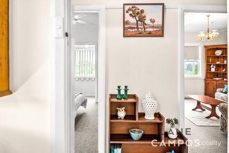 Property photo of 199 Christo Road Waratah NSW 2298