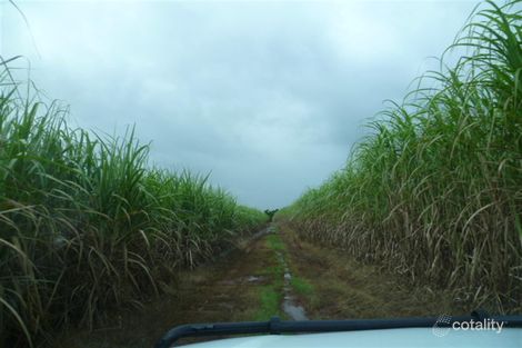 2098 Innisfail Japoon Rd, Bombeeta, QLD 4871