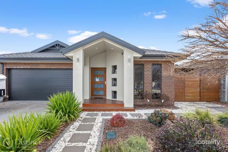 11 Ivy Kent St, Forde, ACT 2914