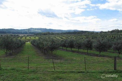 72 Webbs Lane, Taggerty, VIC 3714