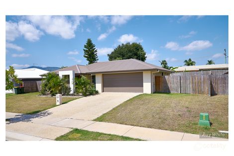 Property photo of 19 Rosedale Street Parkhurst QLD 4702