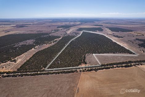 Property photo of LOT 102 Green Road Ettrick SA 5253