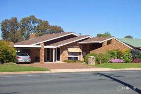 544 Webb St, Lavington, NSW 2641