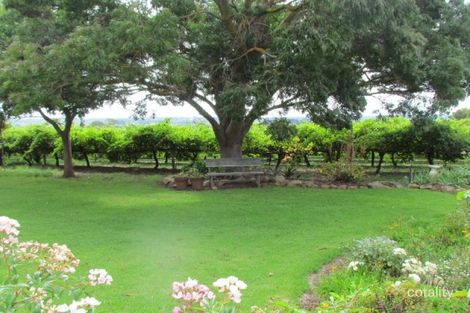 Property photo of 72 Hamilton Road McLaren Flat SA 5171