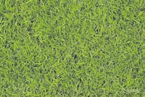 39 Webster St, Camberwell, VIC 3124