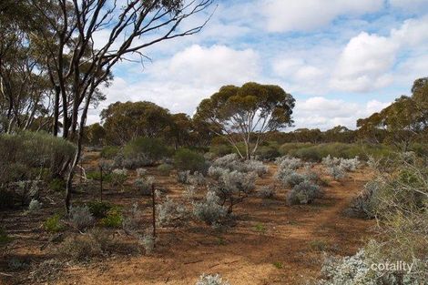 194 Promnitz Rd, Morgan, SA 5320