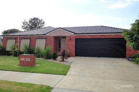 16 Gunn Ct, Wangaratta, VIC 3677
