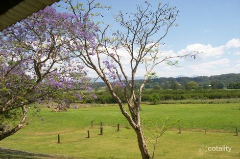 Property photo of 534 Waterfall Way Fernmount NSW 2454