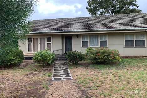 13 Koongarra Ave, Magill, SA 5072