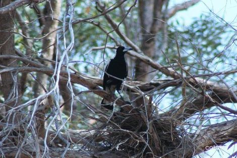 Property photo of 3 Ginger Place Two Rocks WA 6037