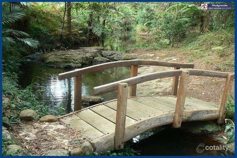 Property photo of 6 Kuralboo Street Springbrook QLD 4213