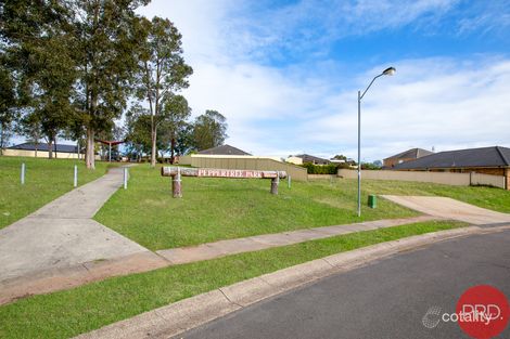 Property photo of 14 Peppertree Circuit Aberglasslyn NSW 2320
