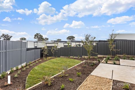 Property photo of 28/47 Lorraway Street Holt ACT 2615