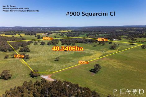 900 Squarcini Cl, Bailup, WA 6082