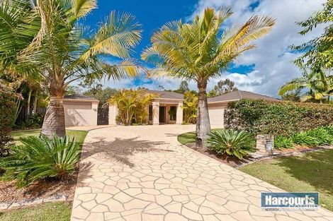 Property photo of 6 Tribulation Close Narangba QLD 4504