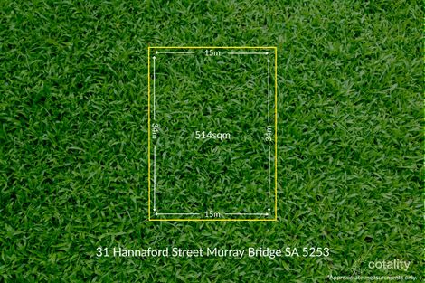 31 HANNAFORD ST, MURRAY BRIDGE, SA 5253