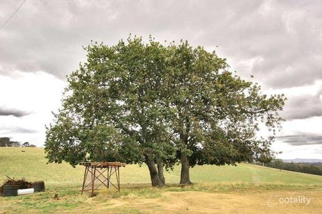 Property photo of 149 Sheltons Road Newham VIC 3442