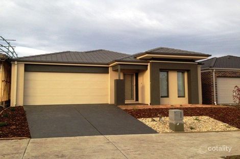 61w Elation Bvd, Doreen, VIC 3754
