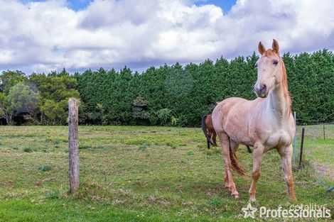 Property photo of 61 Lahey Road Tamborine Mountain QLD 4272