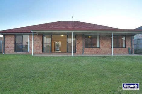 Property photo of 3 Billinghurst Crescent Upper Coomera QLD 4209