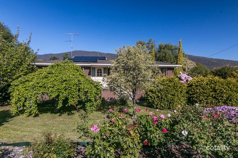 156 Main St, Huonville, TAS 7109