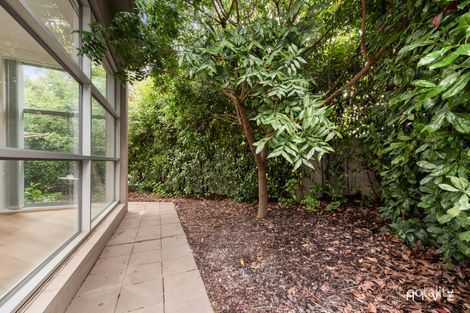 Property photo of 46 Francis Forde Boulevard Forde ACT 2914