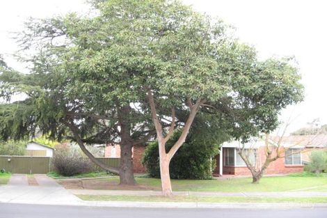 68 Broad St, Marden, SA 5070